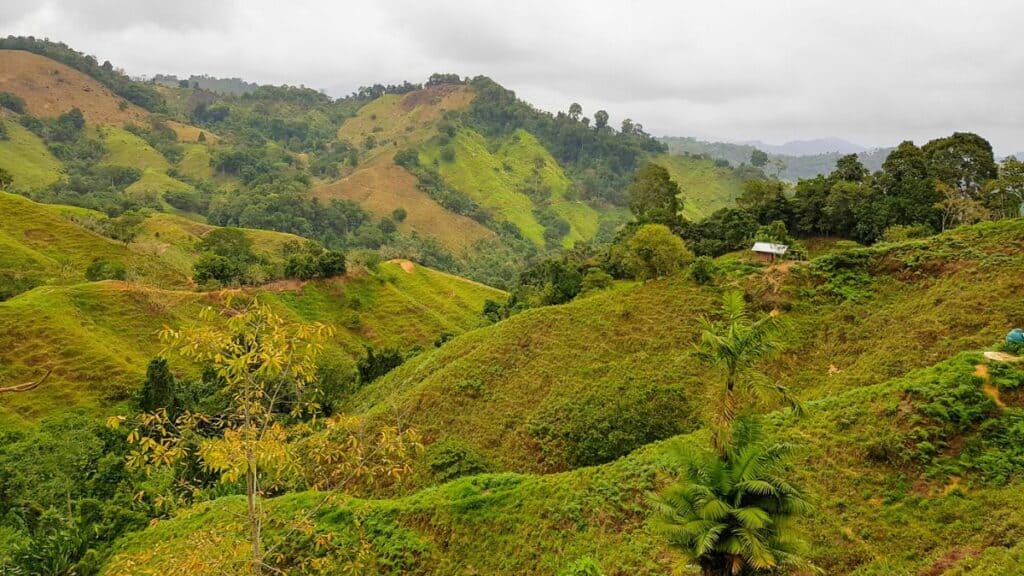 Sierra Nevada de Santa Marta Colombia