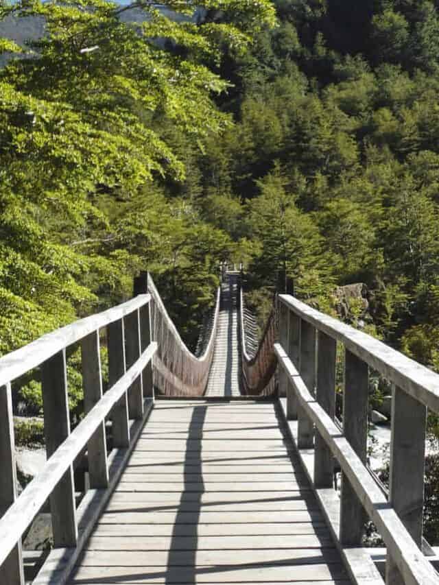 Wooden Hanging Bridge In Pumalin National Park Patagonia Stock