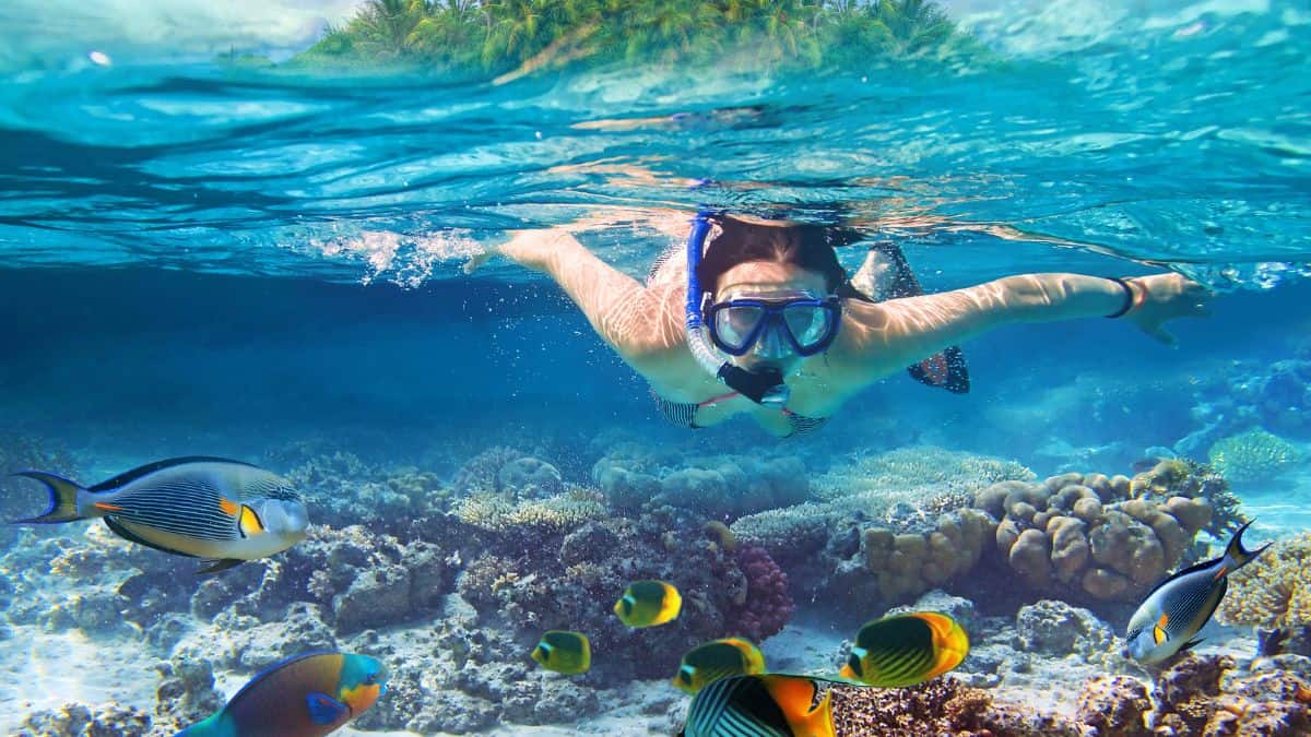 Explore Legendary Shipwrecks and Swim With Turtles At These Caribbean Snorkeling Spots