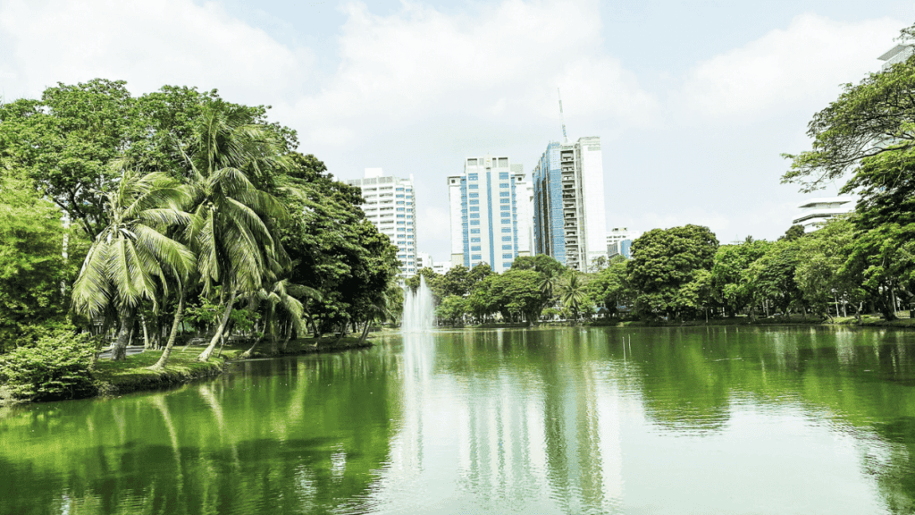 Lumphini Park - Bangkok, Thailand MSN
