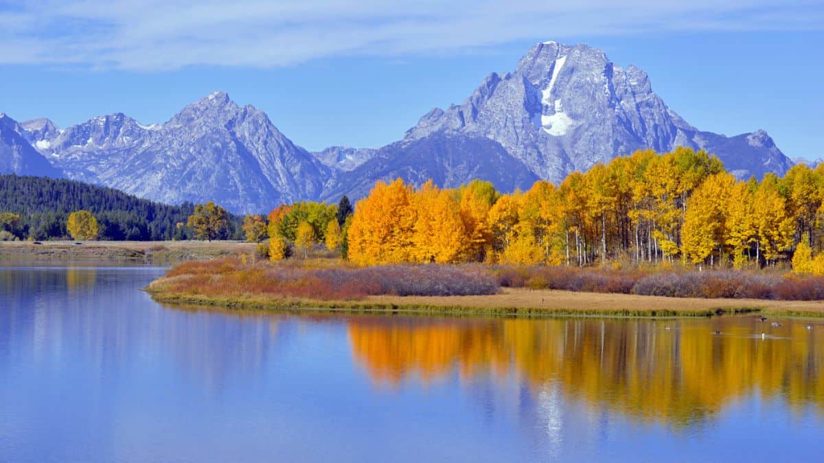 Fall Foliage In Grand Teton National Park In Wyoming US