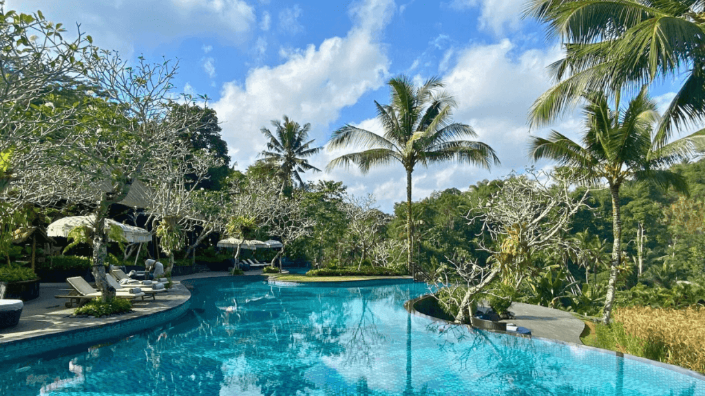Pool Bar Infinity Pool - Mandapa, a Ritz-Carlton Reserve in Ubud, Bali