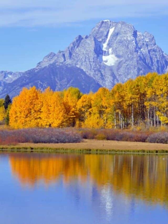 Fall Foliage In Grand Teton National Park In Wyoming US
