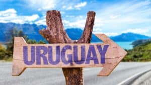 INTERESTING THINGS ABOUT URUGUAY visual data 7