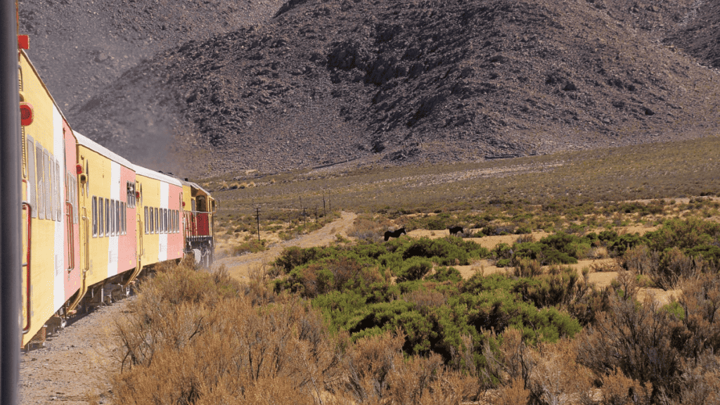 So called Tren a las nubes goes from Salta to La Polvorilla