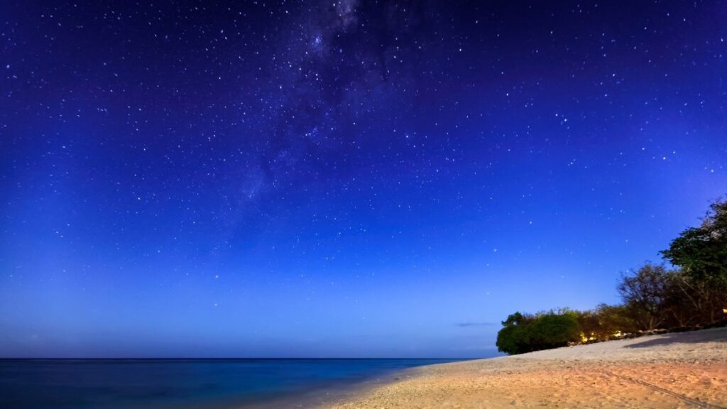 Star Gazing Stock
