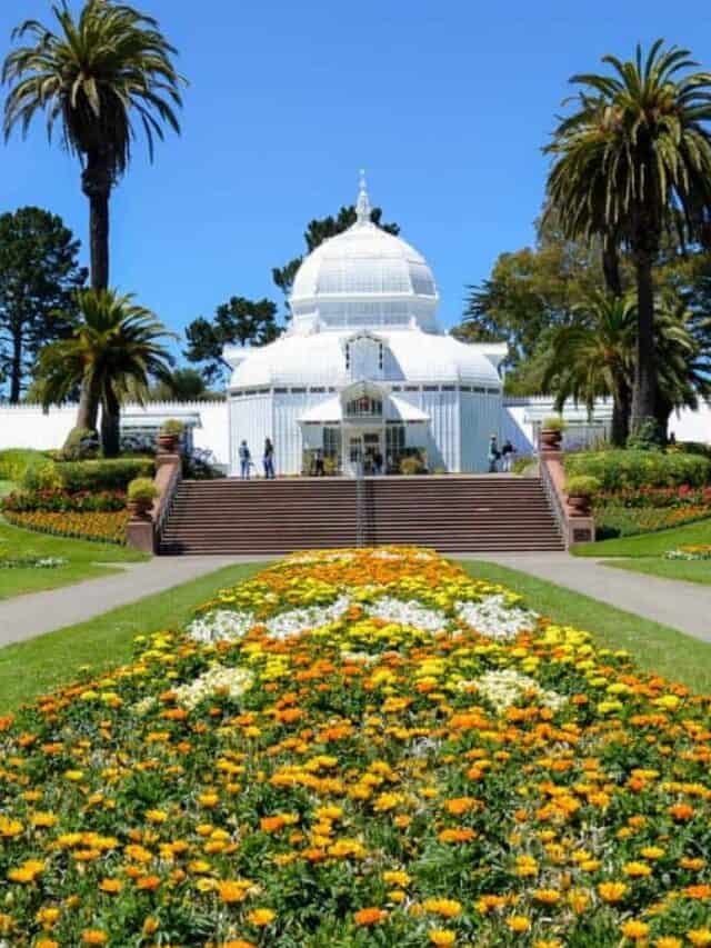11 Best Things To Do in Golden Gate Park Stock