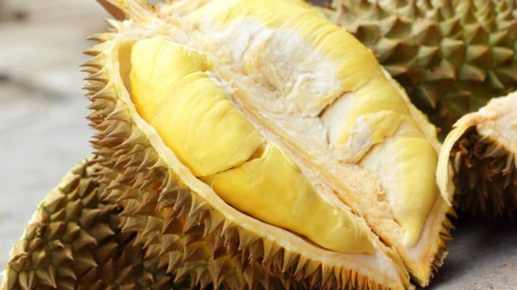 Durian Fruit Stock