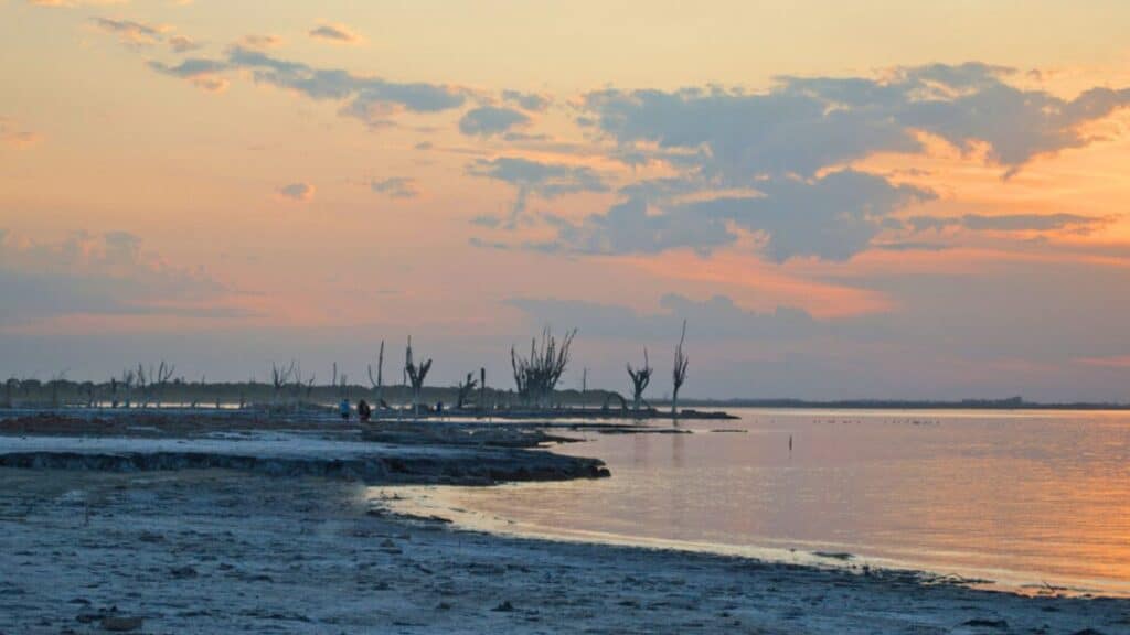 Mar Chiquita Lagoon Argentina Stock
