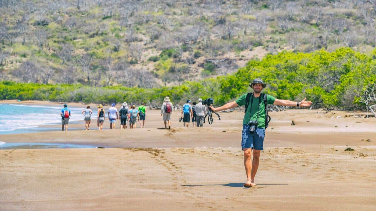 15 Amazing Things To Do in Isabela Island Galapagos - Must-Try Experiences! Stock