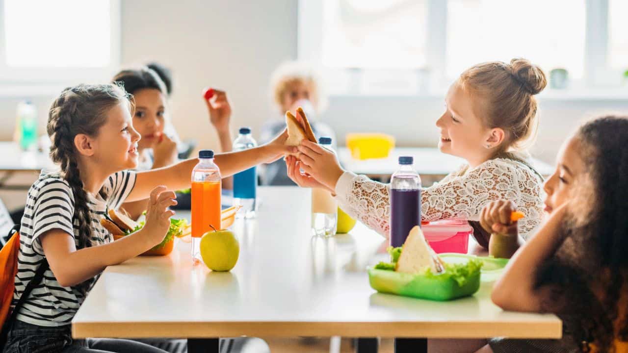 Adorable schoolgirls taking lunch stock