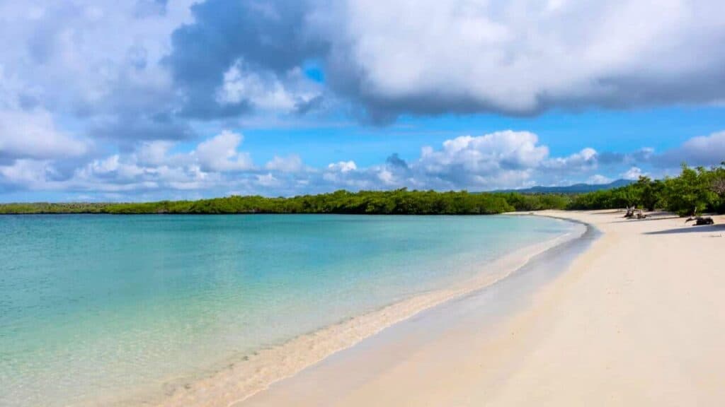 Beautiful Lagoon and Sandy Beach of Tortuga Bay Stock