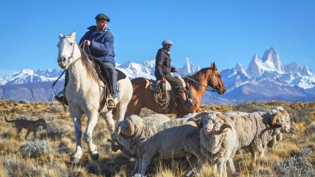 Gaucho Cowboys Horse Near Mount Fitz Roy Patagonia Stock