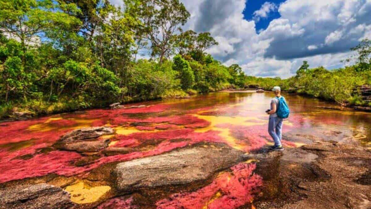 Guide To Caño Cristales Rainbow River Colombia Tips & Best Places To Stay Stock