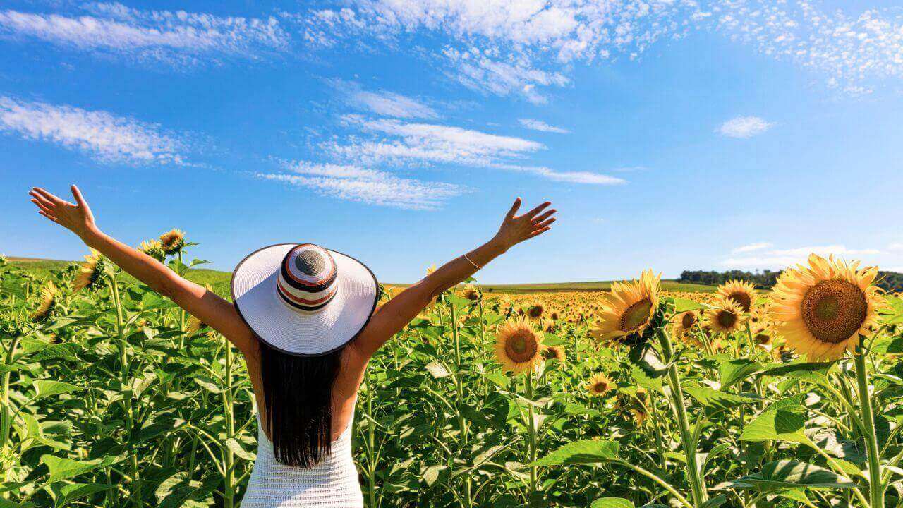 Happy attractive woman in sunflower field stock