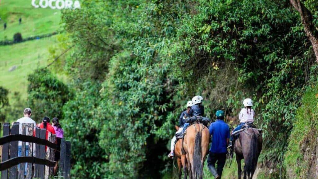 Horse Backriding in Valley Cocora in Salento Colombia Stock