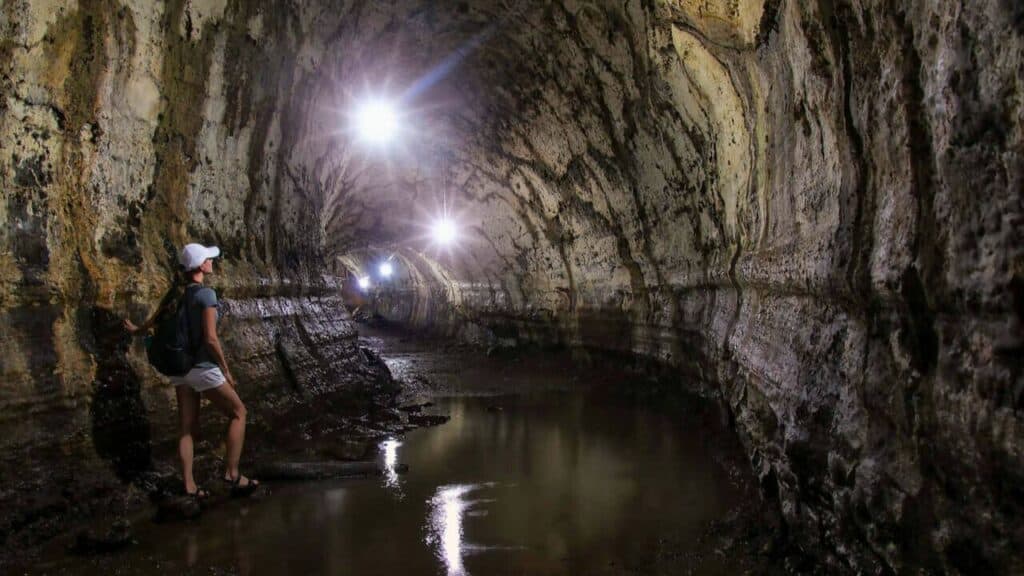 Lava Tubes in Santa Cruz Highlands Galapagos Stock