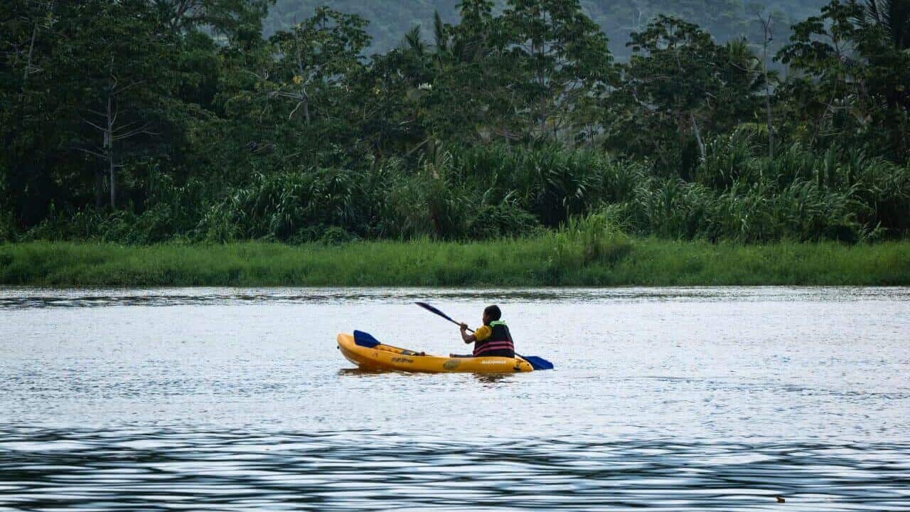 Person Kayaking in Palomino River Colombia Stock