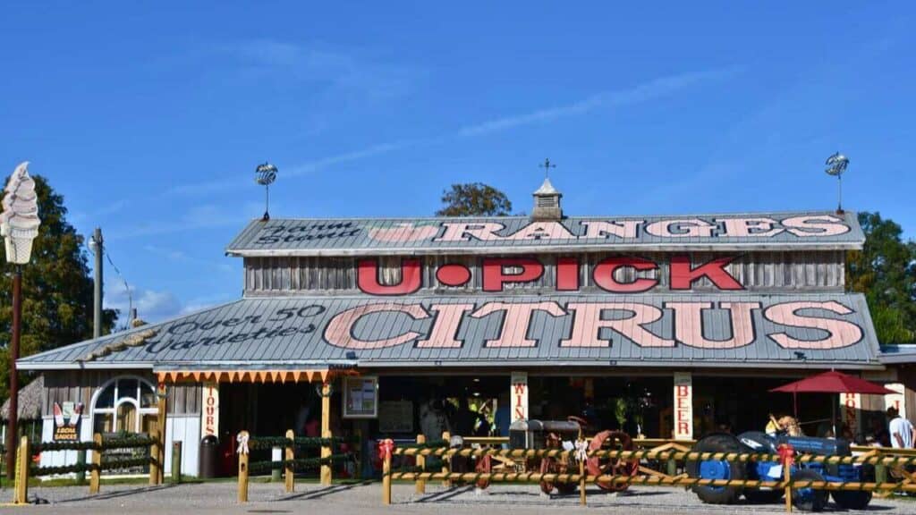 Showcase of Citrus in Clermont Florida Stock