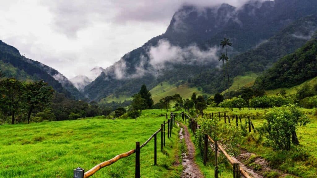 Start of the Hike in Valley Cocora in Salento Colombia Stock