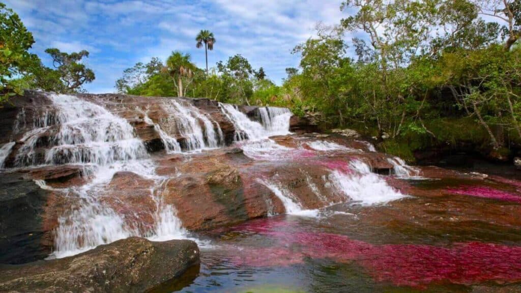 The Canio Cristales, one of the most beautiful rivers in the world Stock
