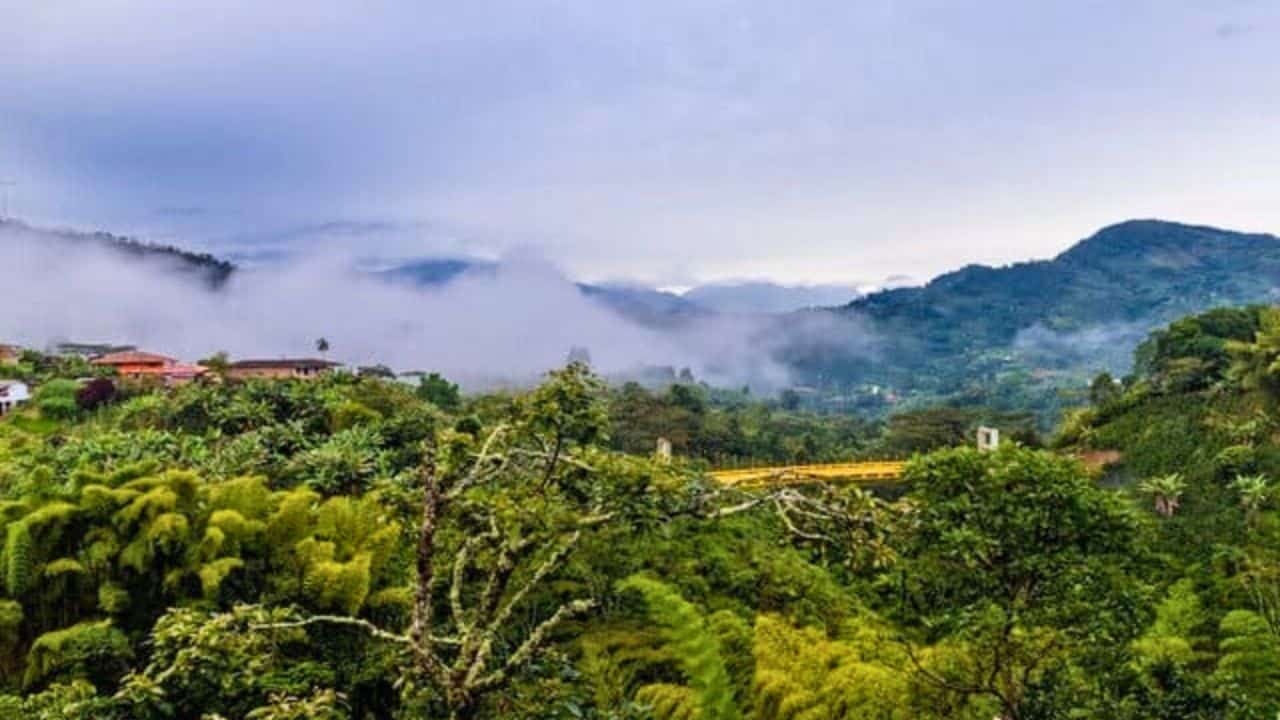 What To Do in Jardin Colombia 10 Best Activities and Stays For Your Travel Stock