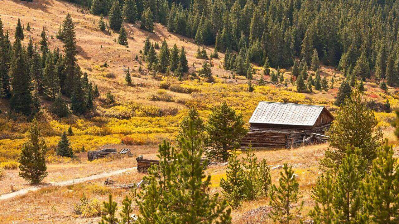 White River National Forest in Colorado stock