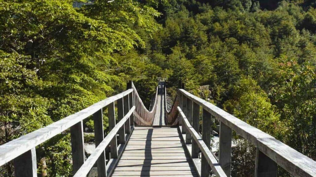 Wooden Hanging Bridge In Pumalin National Park Patagonia Stock