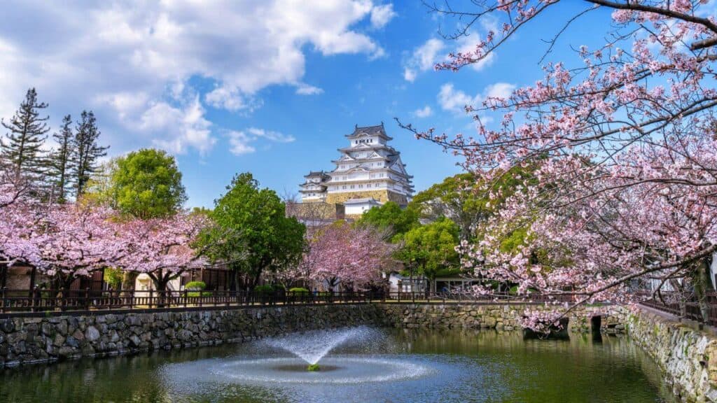 Cherry blossoms and castle in Himeji, Japan