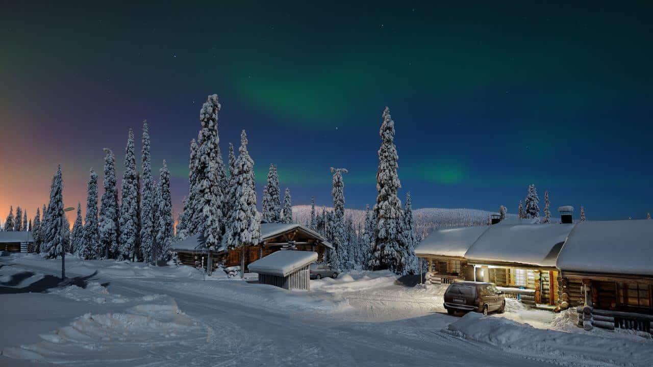 Northern Lights Snowy Tall Trees Lapland Finland