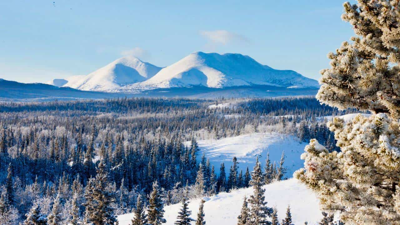 Winter Snow Landscape Yukon Territory Canada