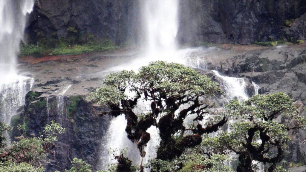 Waterfall in Carrasco National Park Bolivia Stock