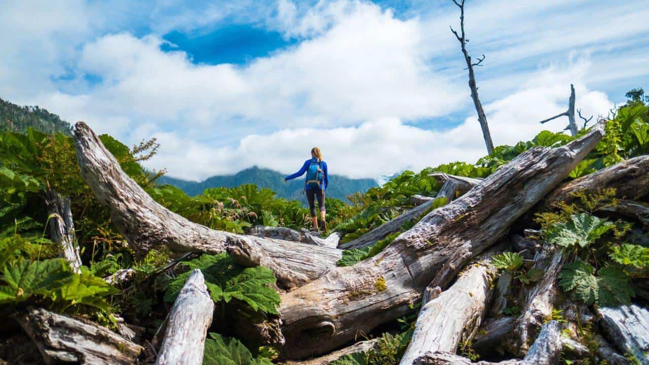 Woman Hiker at Pumalin National Park Chile